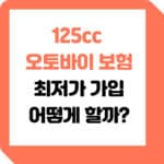 20대-125cc-오토바이-보험-비교-가이드